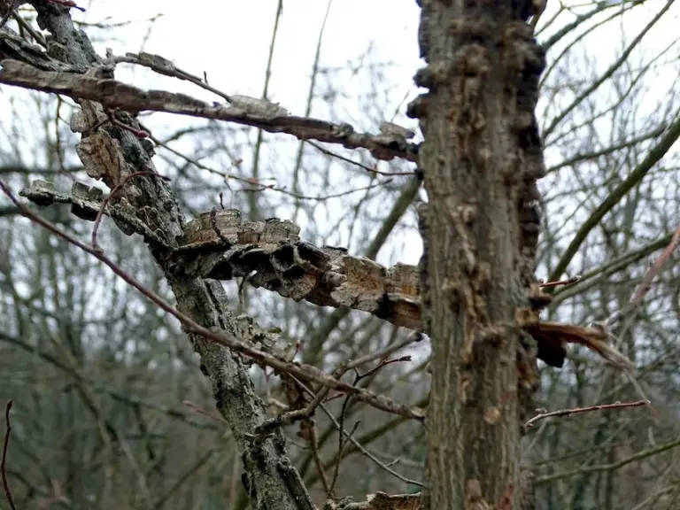 26 березня — UA news