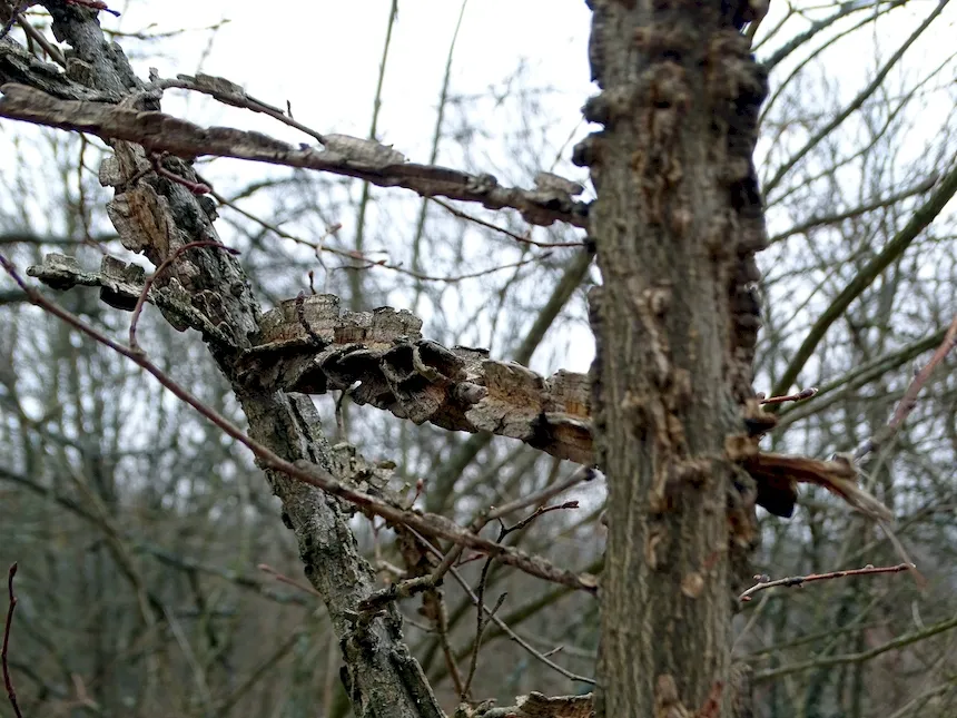 26 березня — UA news