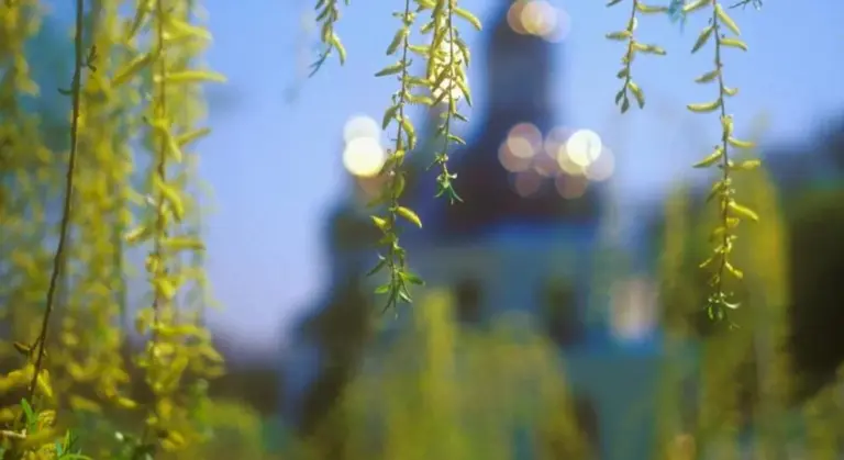 30 березня свято — UA news