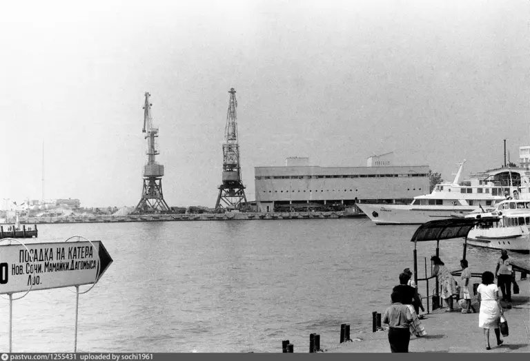 бенфика – порту — UA news