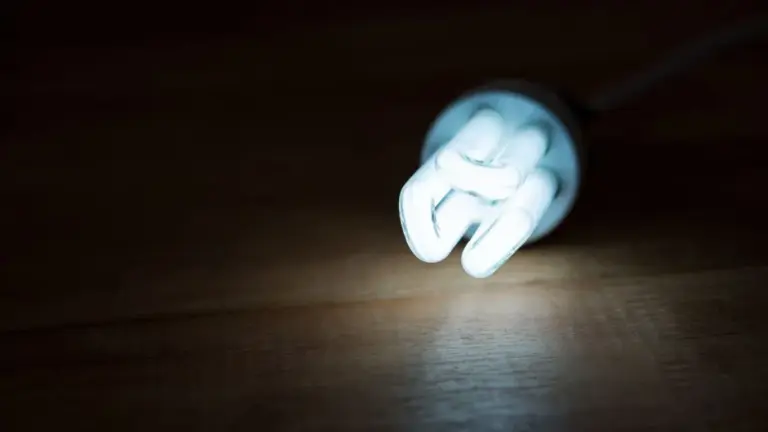 біла церква — UA news