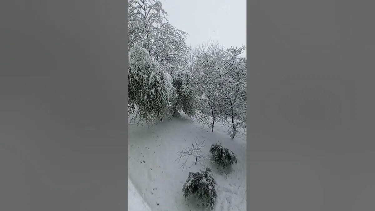 погода чернівці — UA news