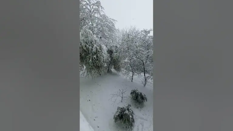 погода чернівці — UA news