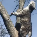 Погода хмельницький