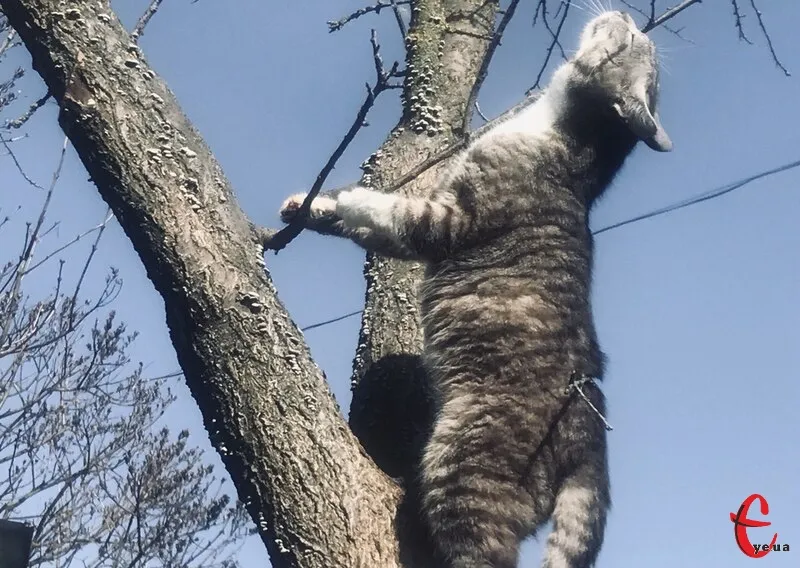 погода хмельницький — UA news