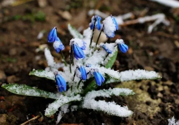 погода львів — UA news