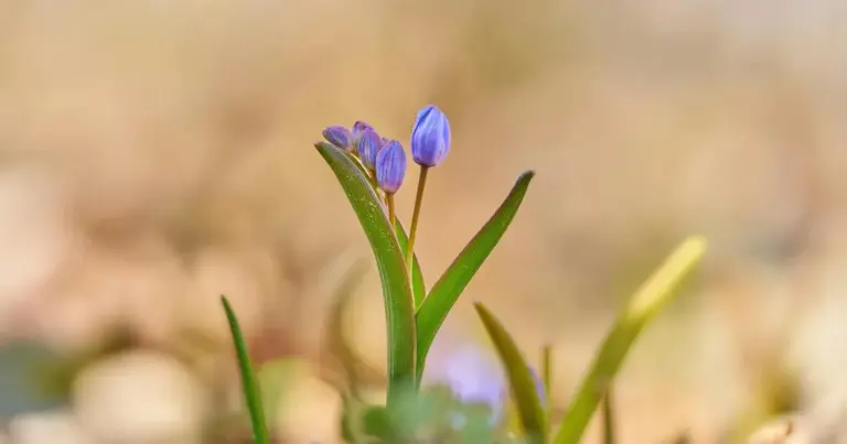 погода ужгород — UA news