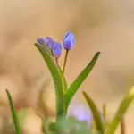 Погода ужгород