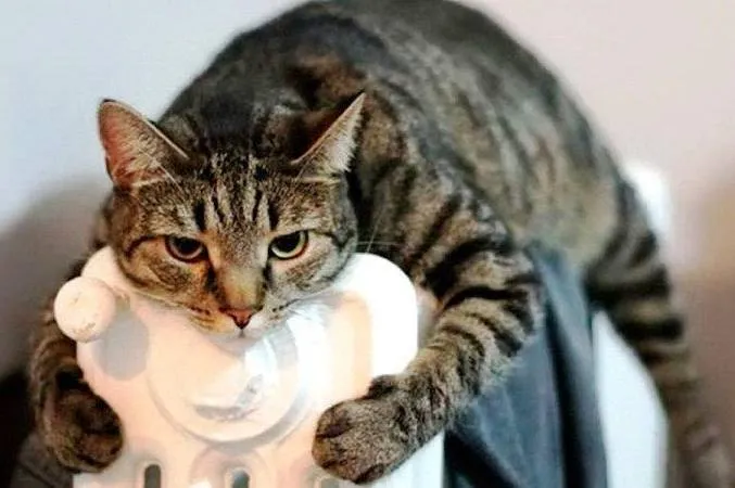 погода вінниця — UA news