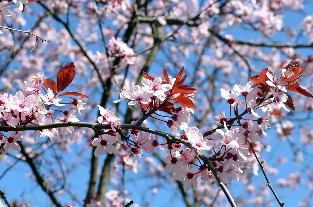 прогноз погоди — UA news