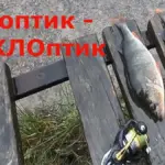 Синоптик днепр: Синоптик Дніпро: весняне потепління в Україні