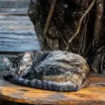 Синоптик харьков: Синоптик Харків: Погода в Україні на початку березня