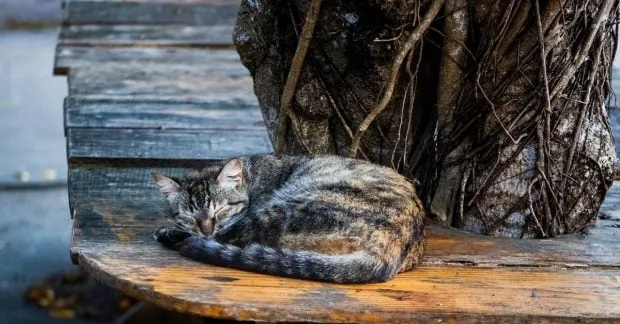 синоптик харьков — UA news