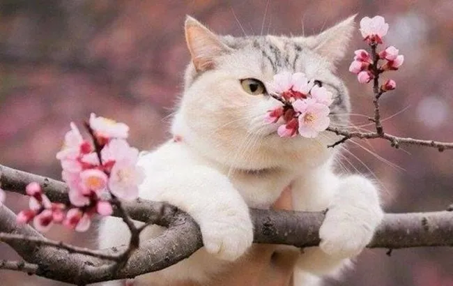 синоптик харьков — UA news