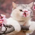 Синоптик харьков