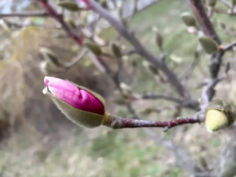 синоптик київ — UA news