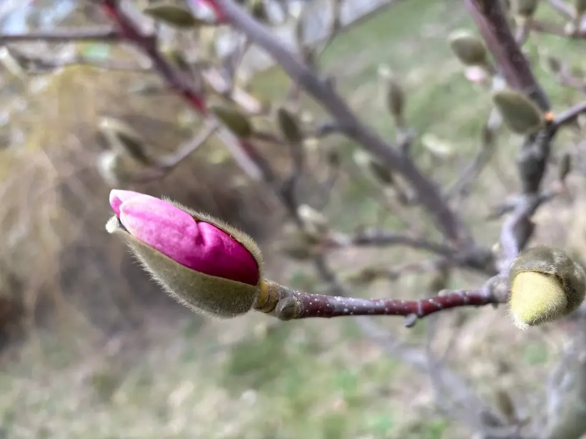 синоптик київ — UA news