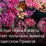 Тюльпан: ціни та попит напередодні 8 березня