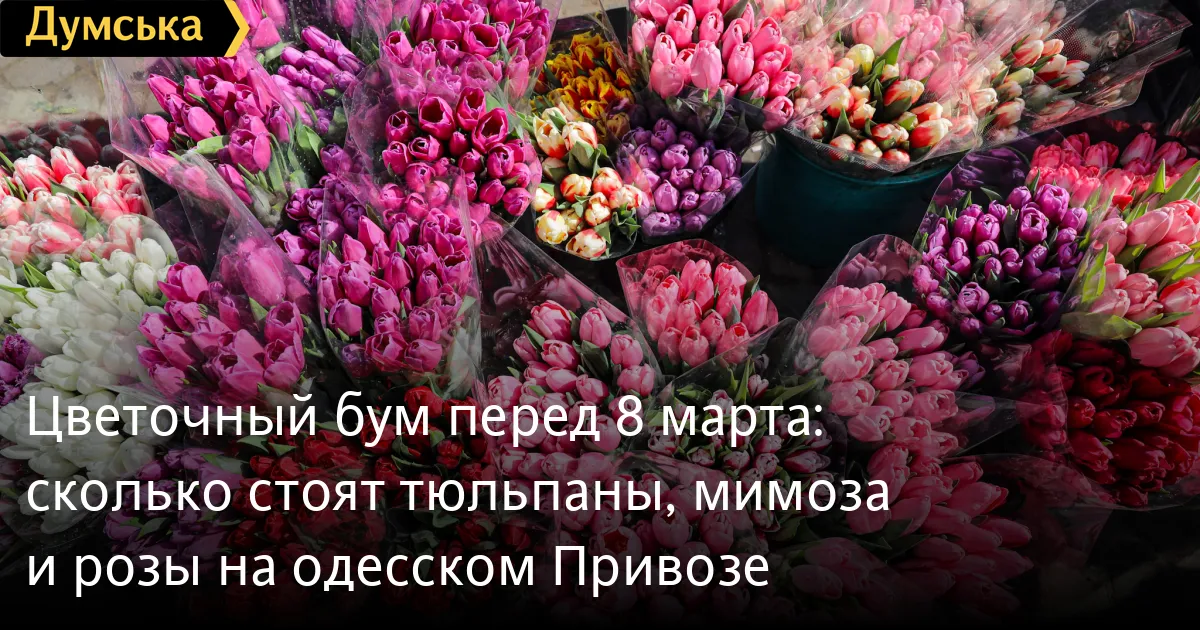 тюльпан — UA news