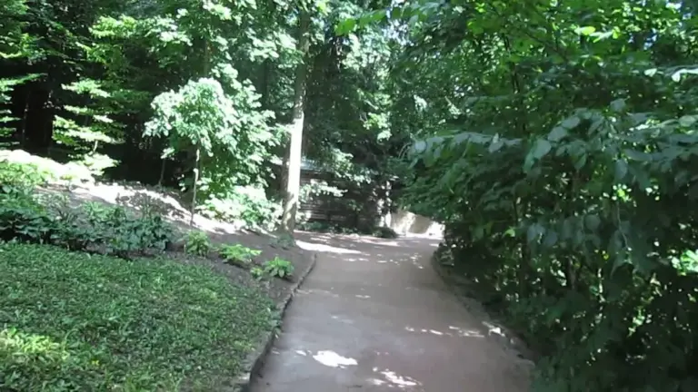 умань — UA news