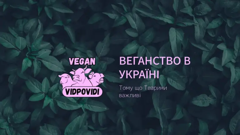 вінниця — UA news