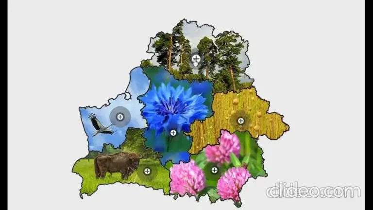 беларусь — UA news