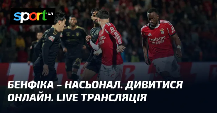 бенфіка – насьонал — UA news