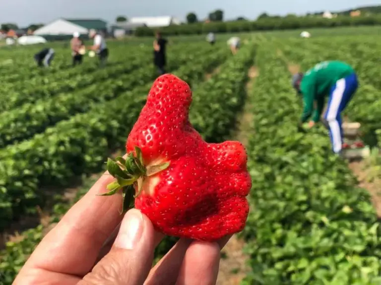 деньги — UA news