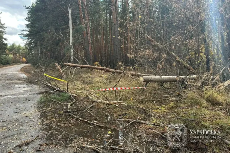 негода — UA news