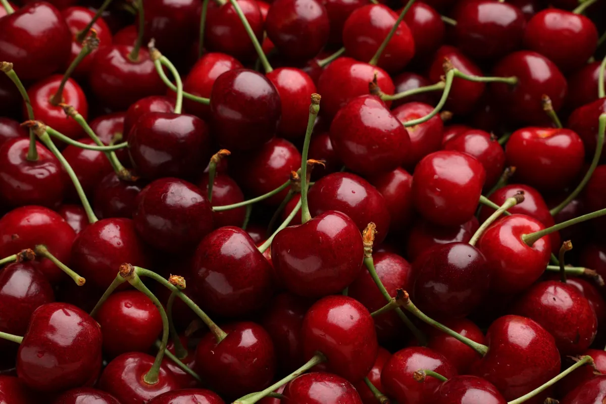 овочі — UA news