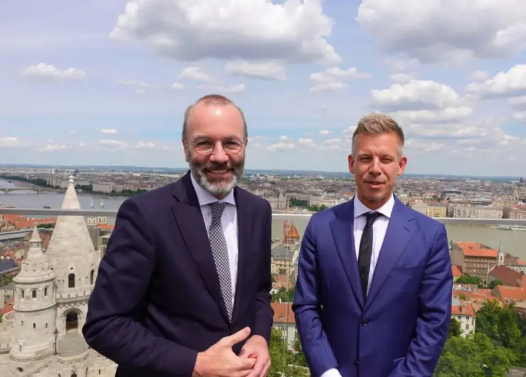 peter magyar — UA news