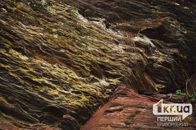 погода кривой рог — UA news