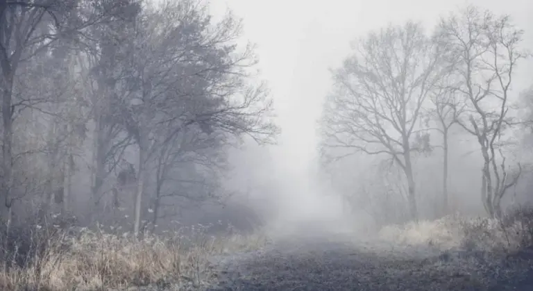 погода в харькове — UA news