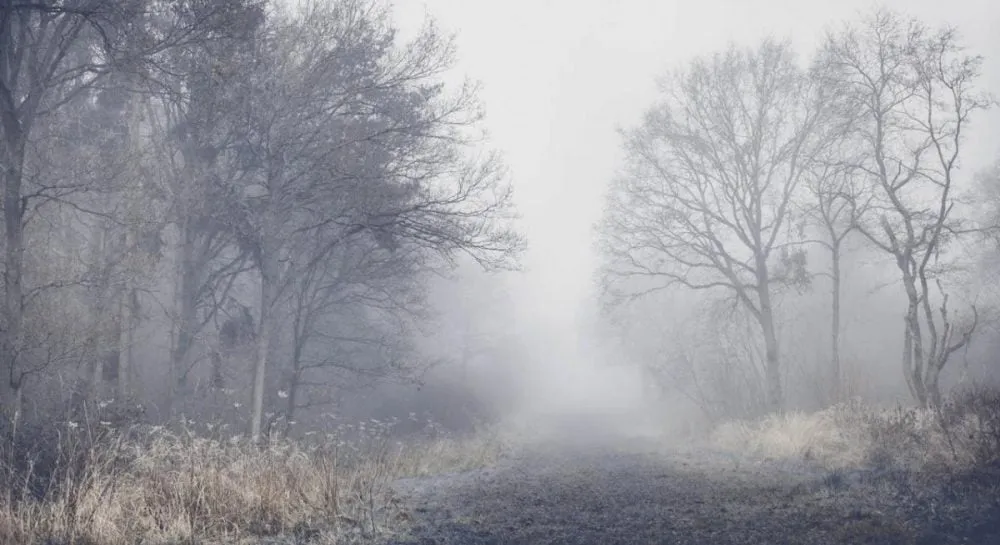 погода в харькове — UA news