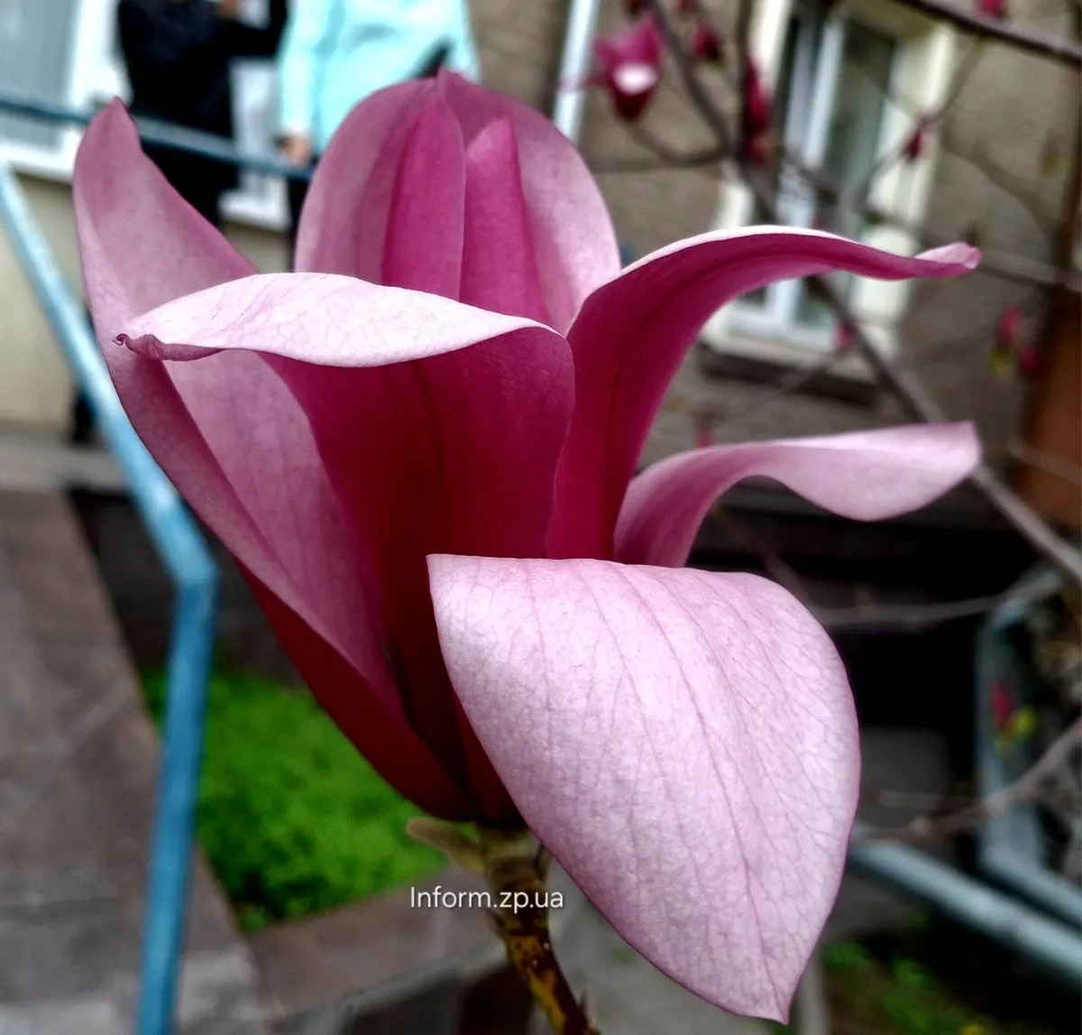 погода в запорожье — UA news