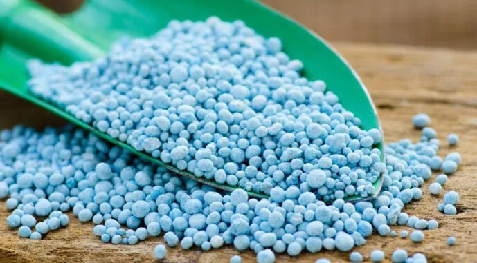 польша — UA news