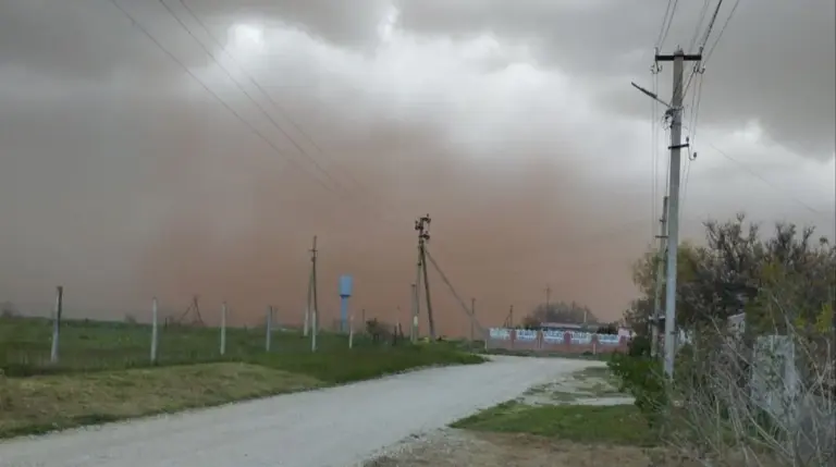 шлам — UA news