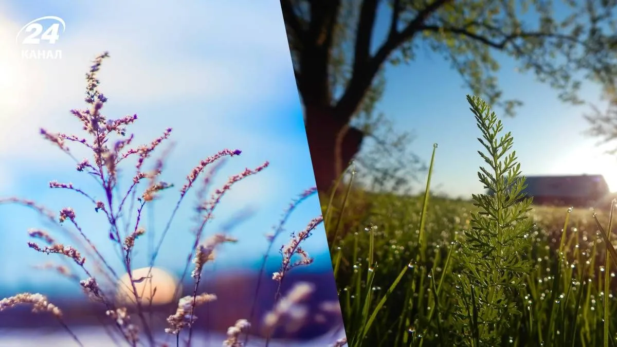 синоптика — UA news