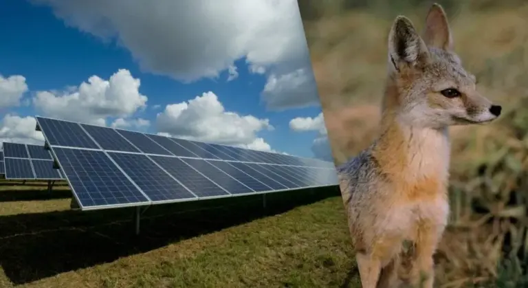 сонячна електростанція — UA news