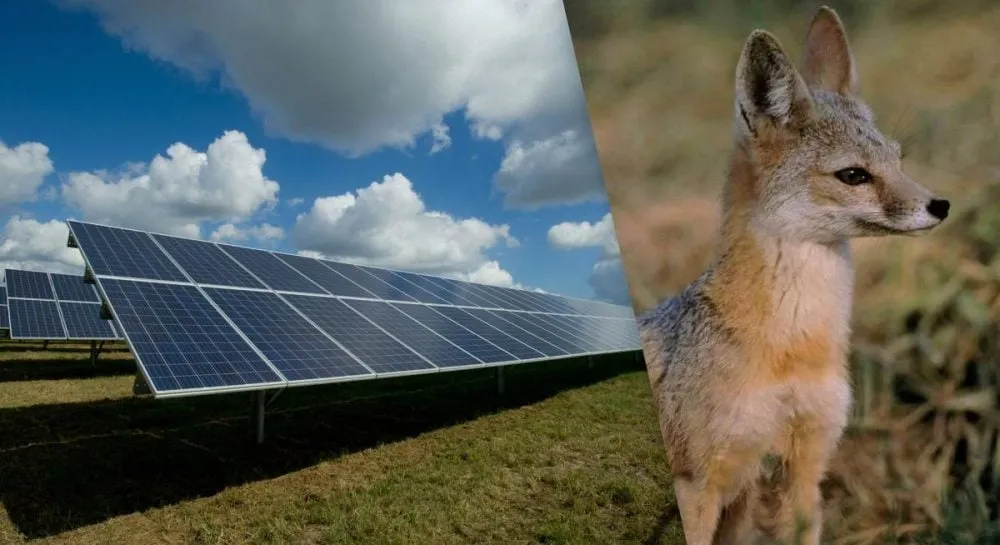 сонячна електростанція — UA news