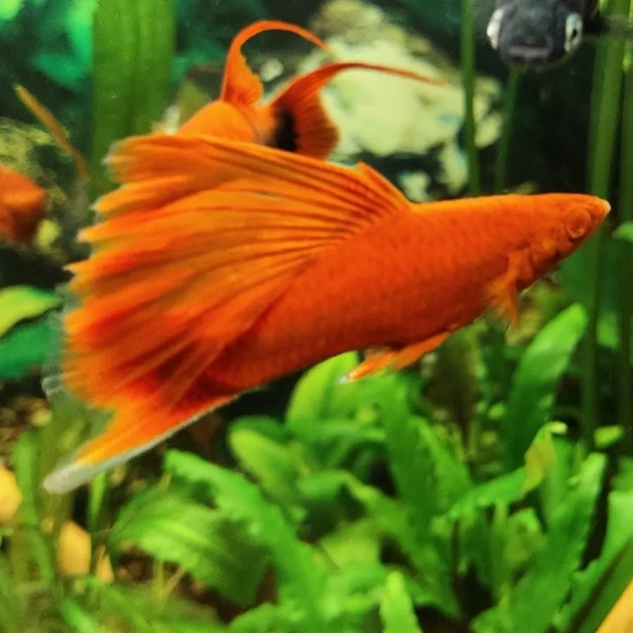 сумы — UA news