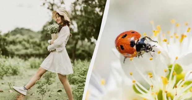 свято 7 квітня 2026 — UA news