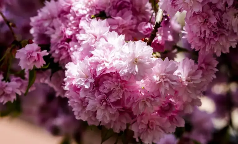 ужгород — UA news