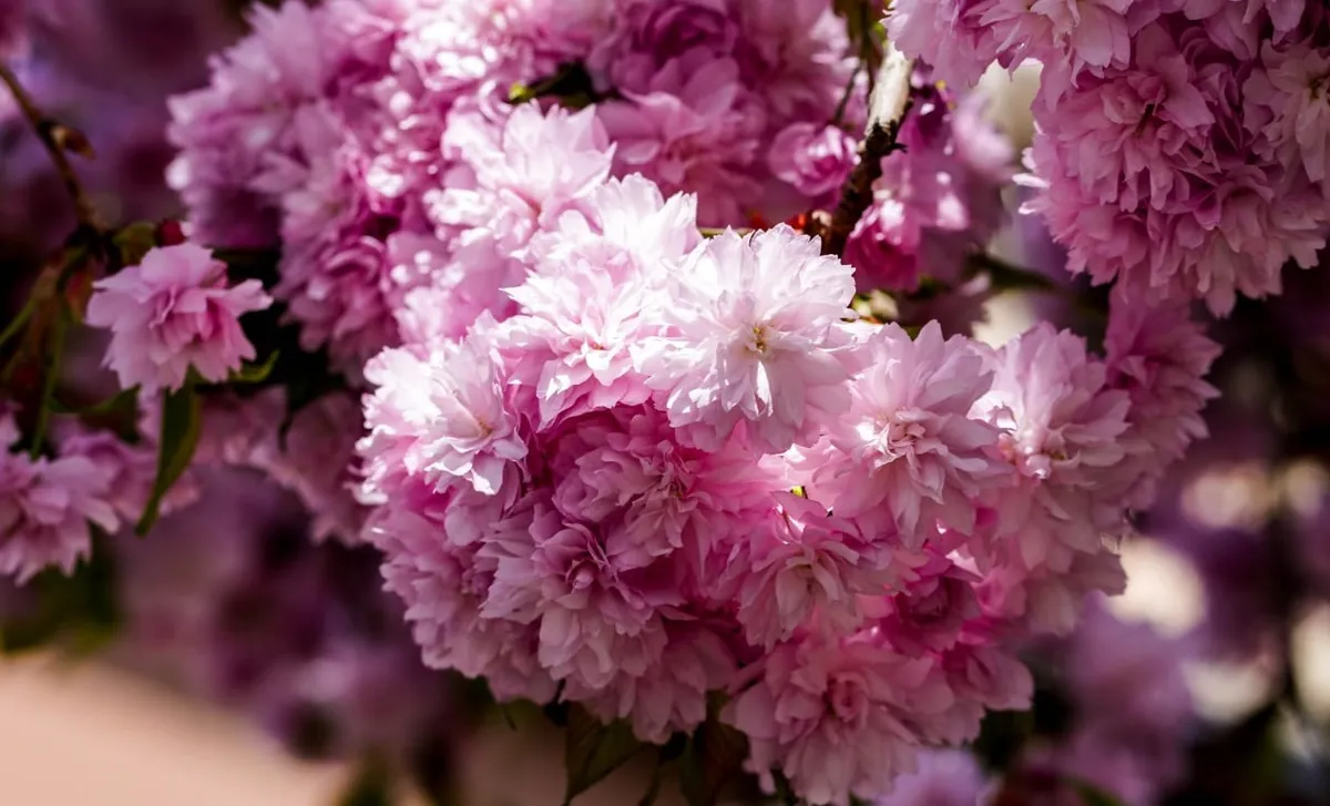 ужгород — UA news