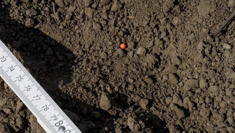 волинська область — UA news