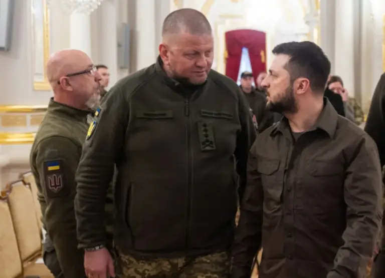 залужний — UA news