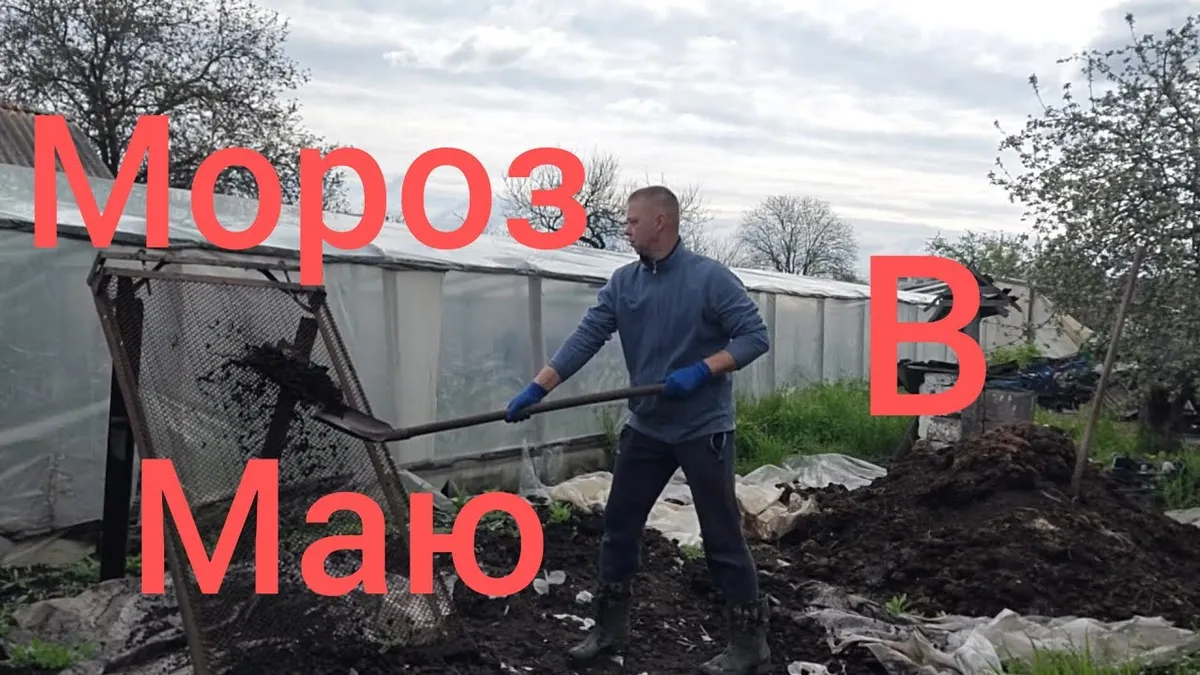 день труда — UA news