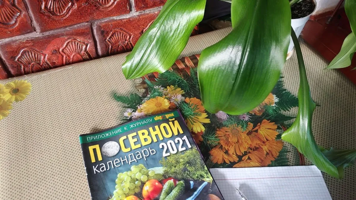 посівний календар на травень — UA news