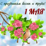 С 1 мая картинки