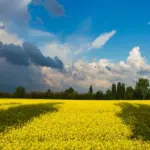 Уніан: Росія переходить до створення професійних мереж саботажу в Європі